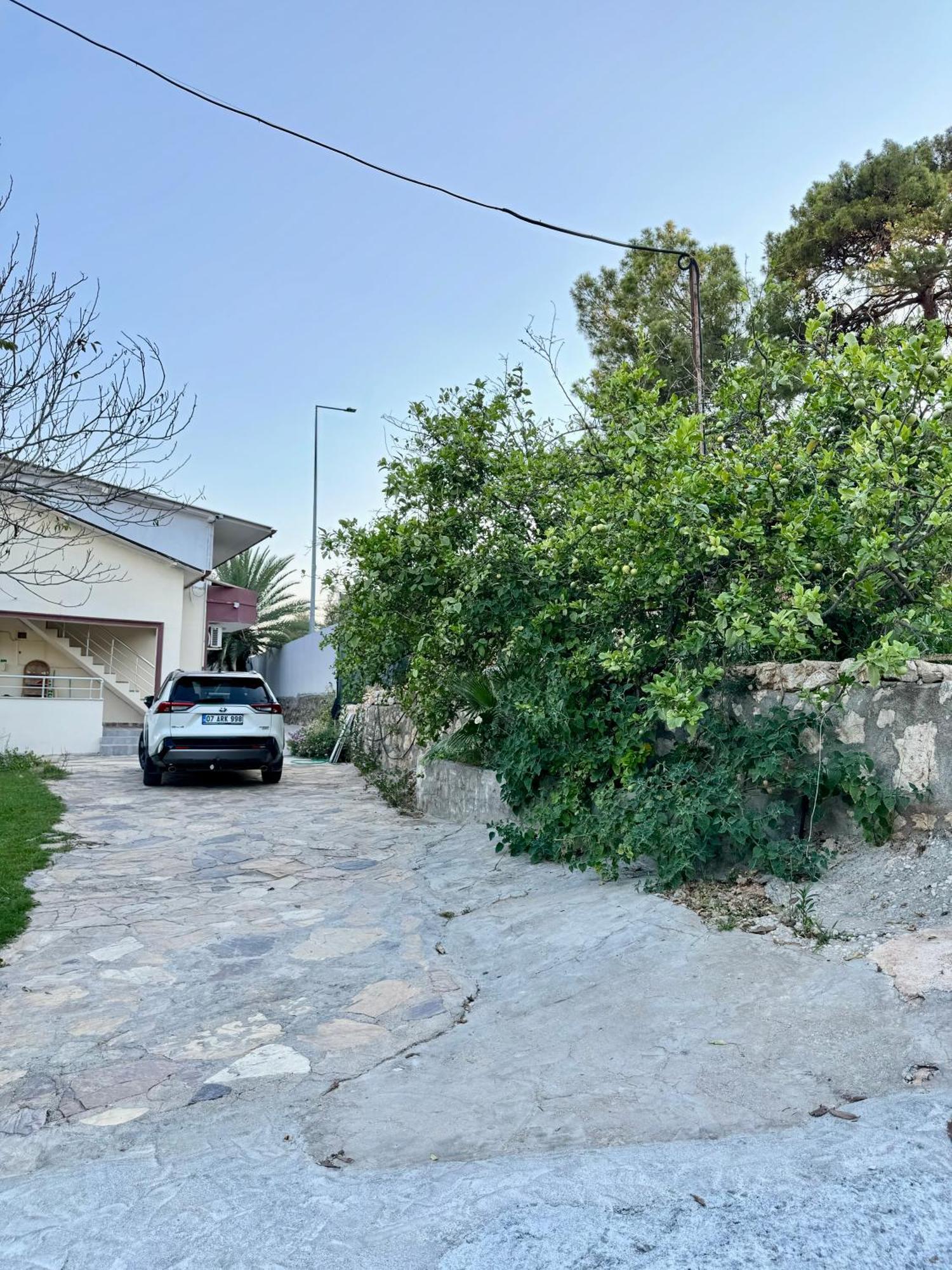 Rose Hotel B&B Patara Exterior photo