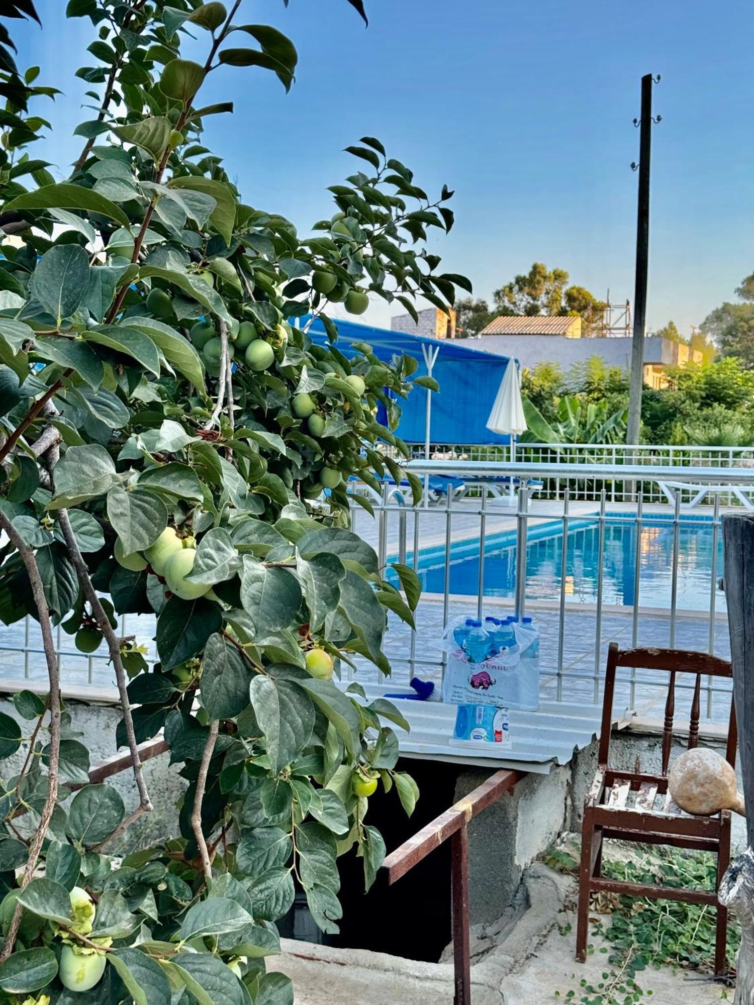 Rose Hotel B&B Patara Exterior photo